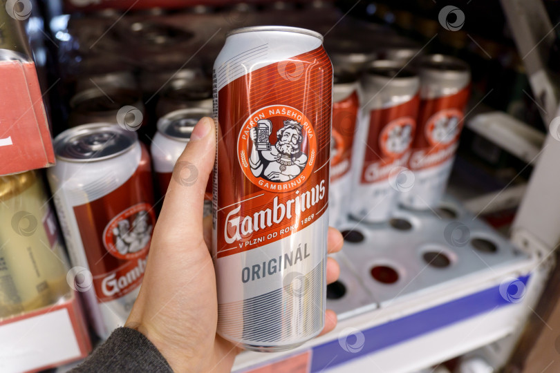 Скачать Тюмень, Россия - 08 мая 2022 года: Банка пива "Гамбринус". Гамбринус - это пиво, сваренное в Чешской Республике. фотосток Ozero