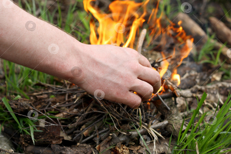 Скачать Разжигаю костер в лесу. фотосток Ozero