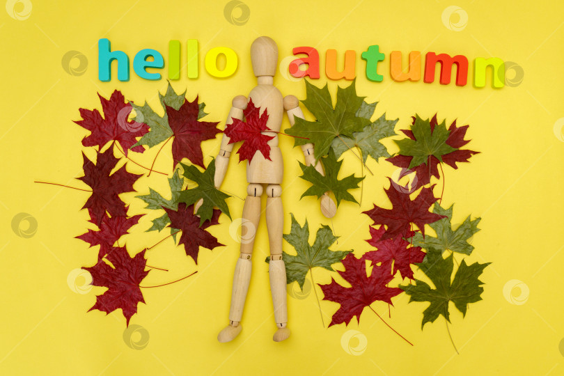 Скачать Привет, осенняя композиция, осенние листья на желтом фоне. Концепция Welcome Autumn с видом сверху на плоскую поверхность. фотосток Ozero