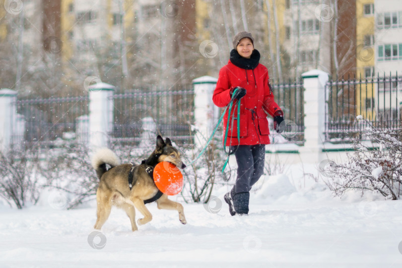 Скачать Девочка играет с собакой в снежную погоду, наслаждаясь погодой. Дрессировка домашних животных. Избирательный фокус фотосток Ozero
