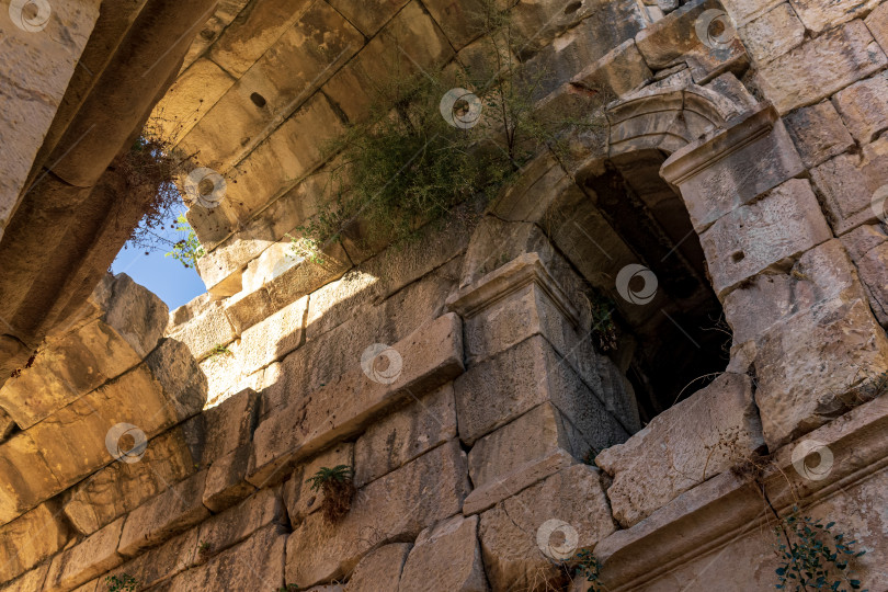 Скачать вид на арочные своды древних руин фотосток Ozero
