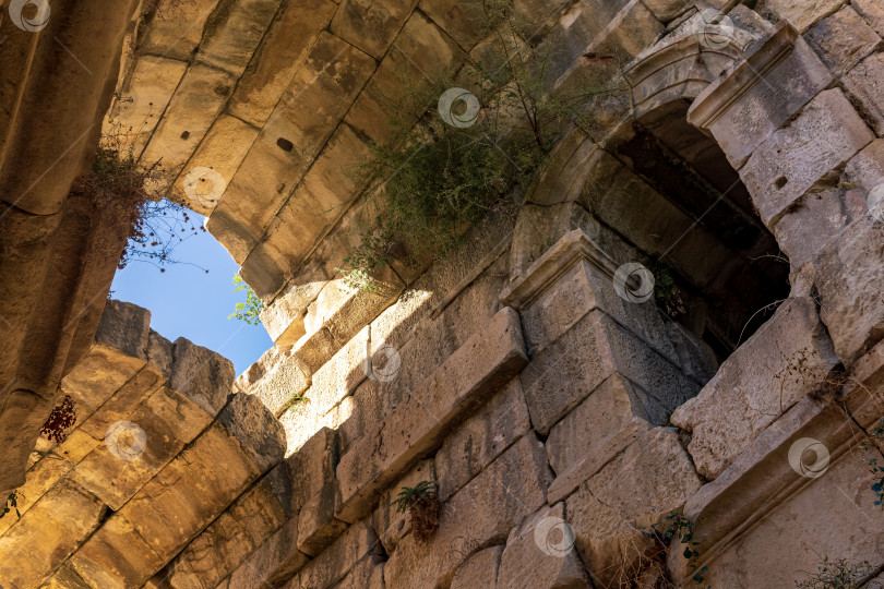 Скачать вид под арочными сводами древних руин, поросших растительностью фотосток Ozero