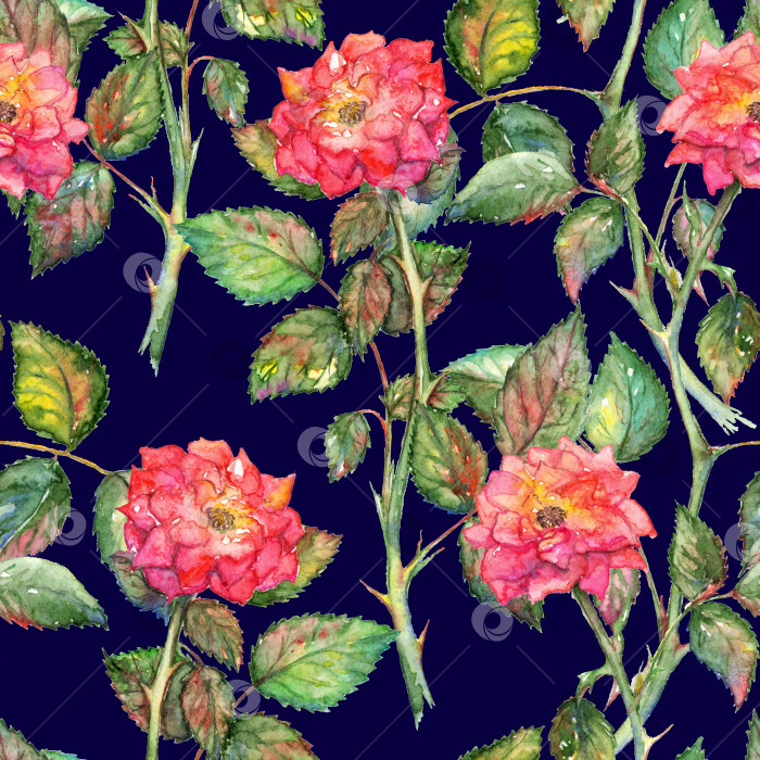 Скачать Акварельные розовые розы бесшовный узор текстурный фон фотосток Ozero