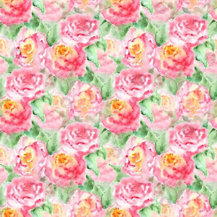Скачать Акварельно-розовый цветок чайной розы изолированная цветочная композиция фотосток Ozero