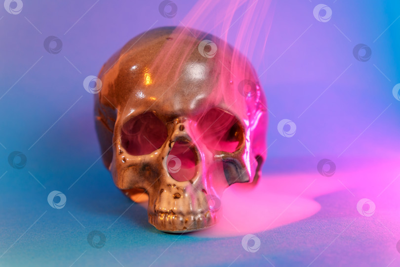 Скачать Человеческий череп в розово-голубом дыму на синем фоне. Концепция Хэллоуина фотосток Ozero