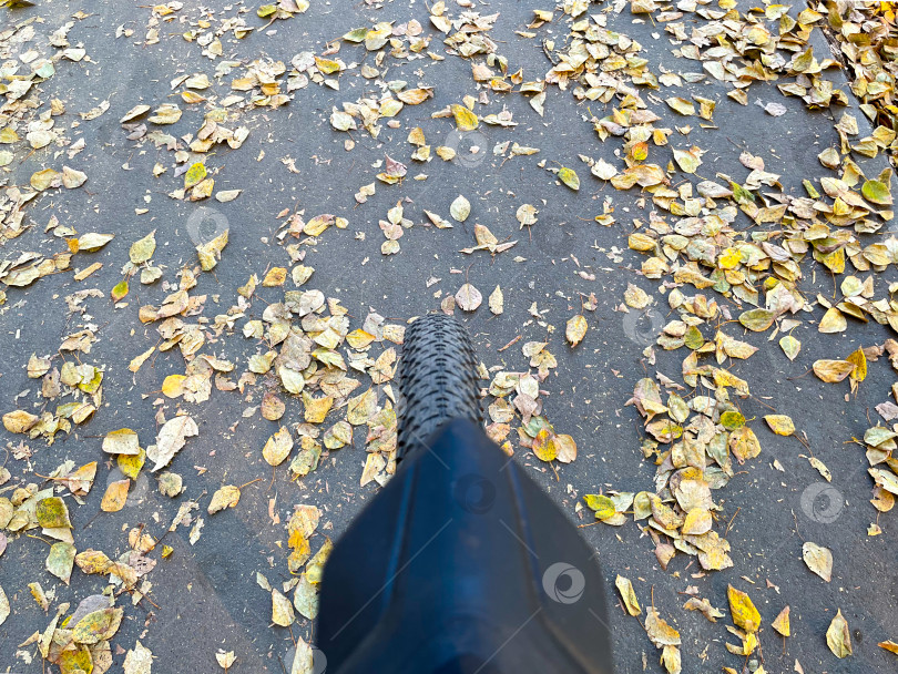 Скачать Велосипедное колесо. Валяются желтые опавшие листья. Дорога осенью. Избирательный фокус фотосток Ozero