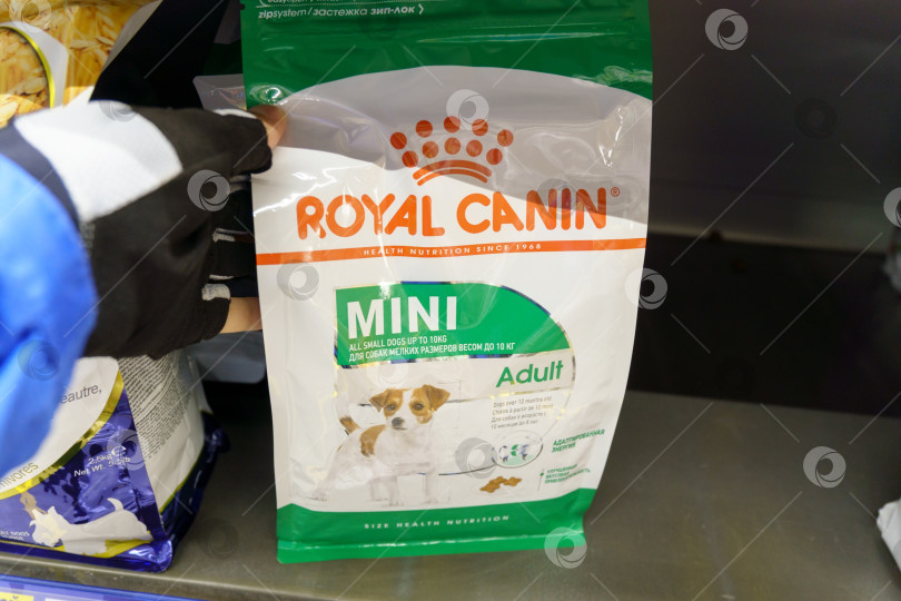 Скачать Тюмень, Россия - 17 августа 2022 года: Royal Canin mini - известный бренд полуфабрикатов для собак и кошек. фотосток Ozero