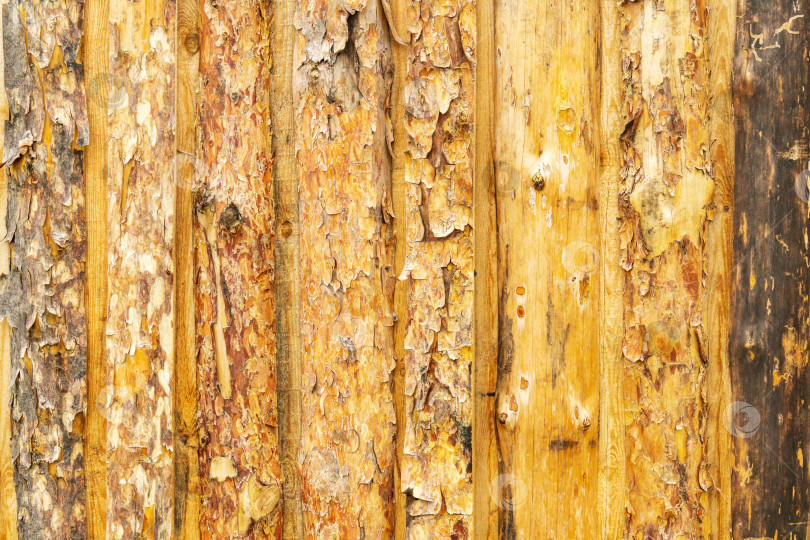 Скачать Деревянный фон текстура забора из натурального дерева, сельский фон со свободным текстовым пространством фотосток Ozero