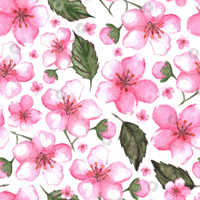 Скачать Акварель розовая вишня сакура бесшовный узор текстурный фон фотосток Ozero