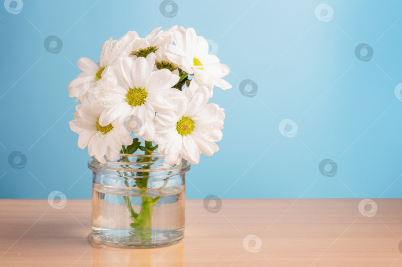 Скачать Небольшой букет из белых цветущих хризантем. фотосток Ozero