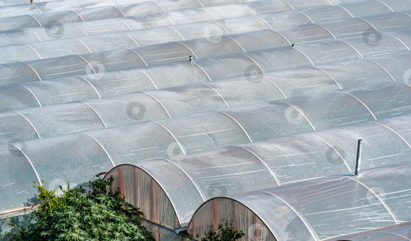 Скачать комплекс промышленных политуннелей для выращивания овощей, вид сверху фотосток Ozero