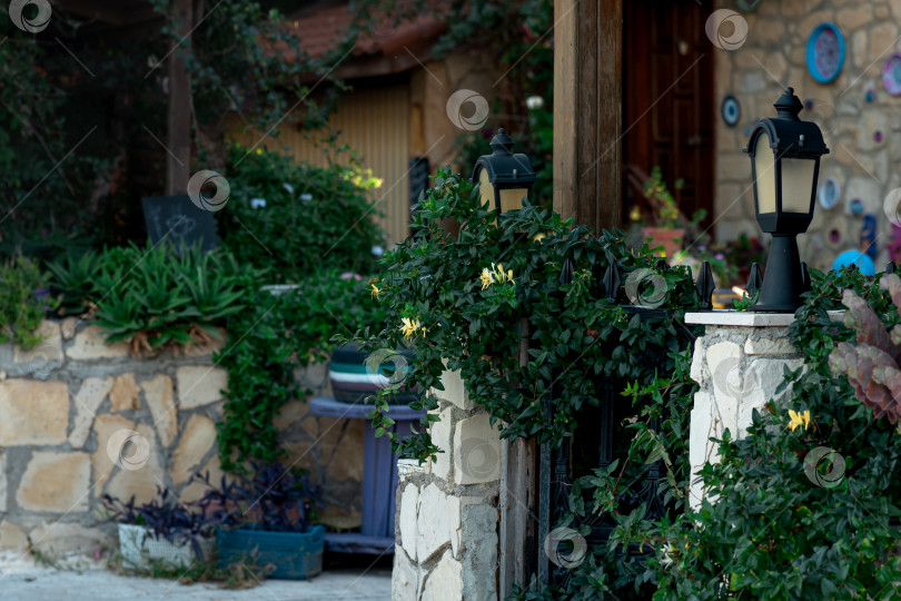 Скачать декоративные растения у входа в небольшой ресторан в туристическом месте в Сиде, Турция фотосток Ozero