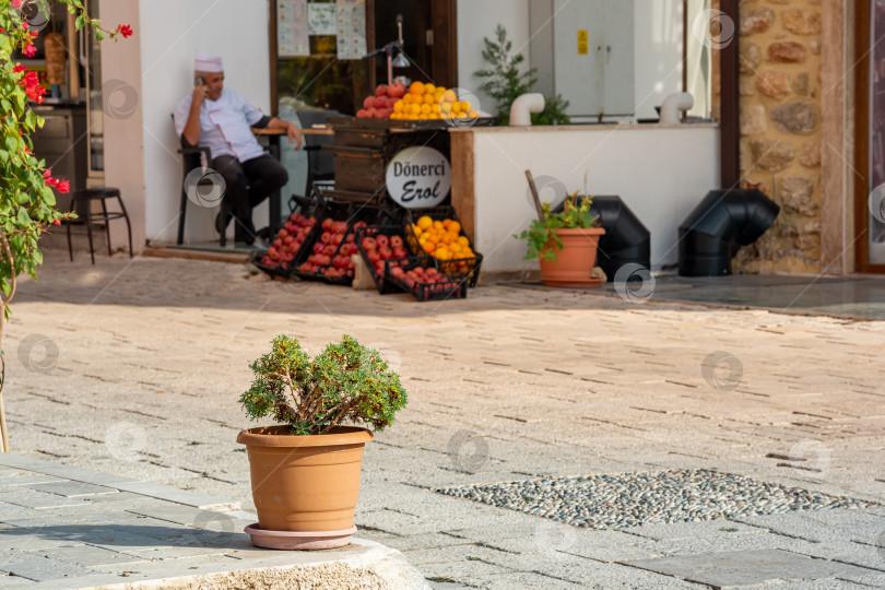 Скачать растение в горшке на улице перед шашлычной и продавцом фруктов на заднем плане в Сиде, Турция фотосток Ozero