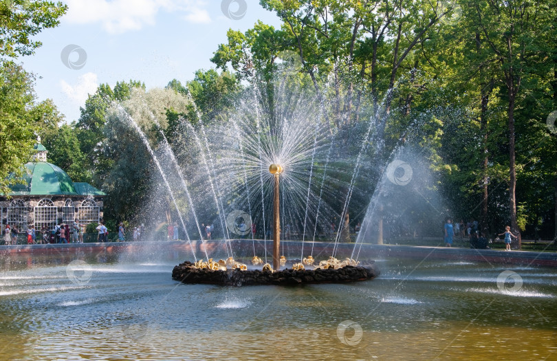 Скачать Санкт-Петербург, Россия - Фонтан "Солнце" в Петергофе фотосток Ozero