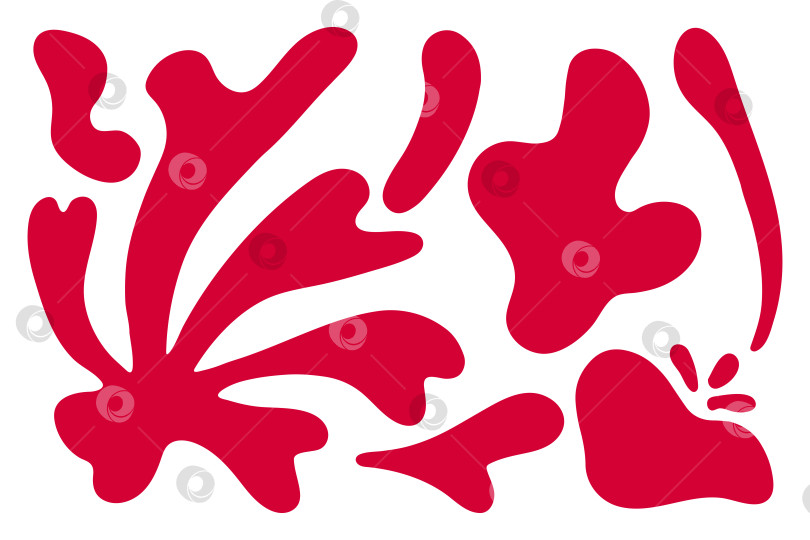Скачать Абстрактные цветочные формы водорослей Матисса в модном современном органическом стиле. композиция каракулями нарисовала эстетичный цветок и лист. Ботаническая векторная иллюстрация красного цвета на белом фоне. фотосток Ozero