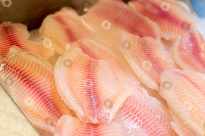 Скачать Свежая рыба тилапия на прилавках гипермаркета, охлажденная холодным паром. Избирательный фокус фотосток Ozero