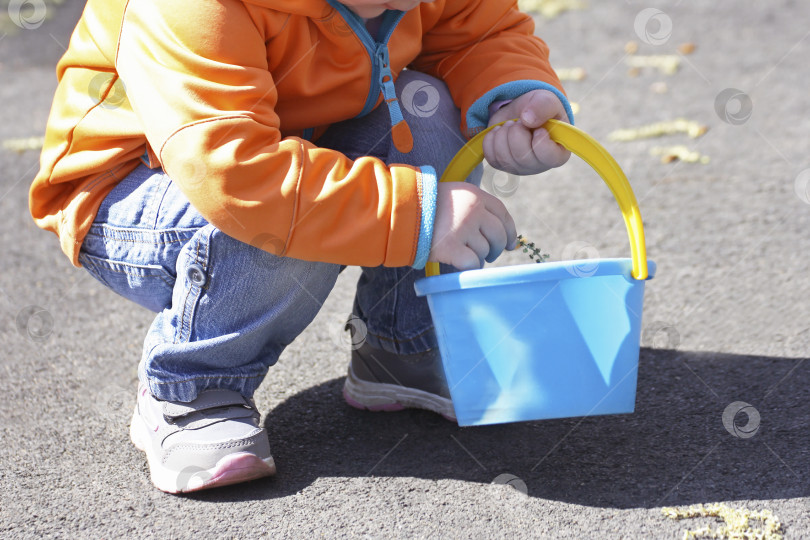 Скачать Ребенок собирает травинки в пластиковое ведерко. фотосток Ozero