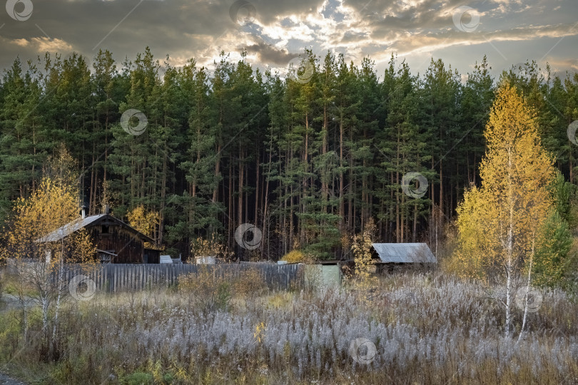 Скачать На опушке темного леса стоят две ужасные заброшенные хижины. фотосток Ozero