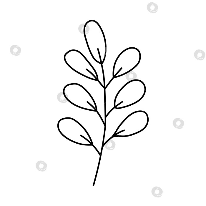 Скачать Ветка с листьями. Векторная иллюстрация каракулей. фотосток Ozero