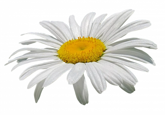 [object Object] undefined