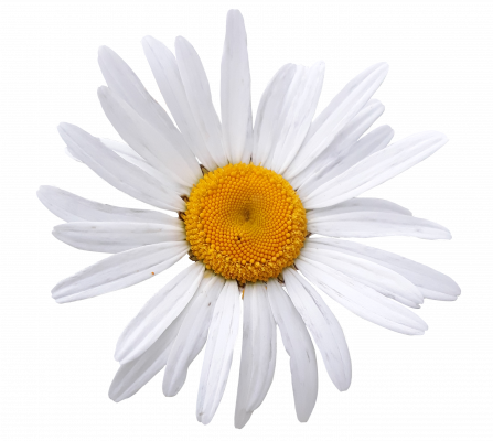 [object Object] undefined