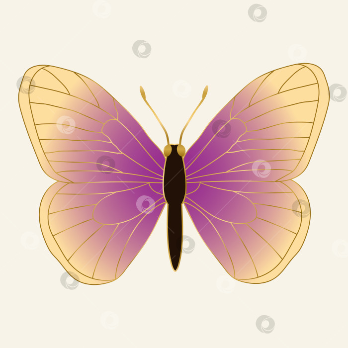 Скачать Красивая сверкающая бабочка. Иллюстрация, заполненная каракулями. фотосток Ozero