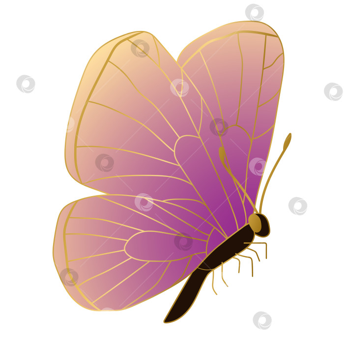 Скачать Красивая сверкающая бабочка. Векторная иллюстрация, заполненная каракулями фотосток Ozero
