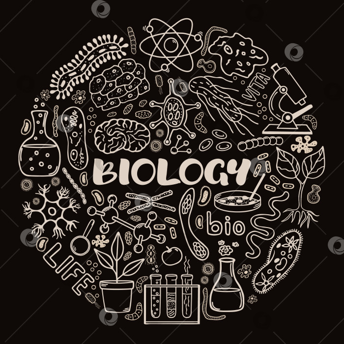 Скачать Биология. Круглая концепция векторных элементов, нарисованных от руки. фотосток Ozero