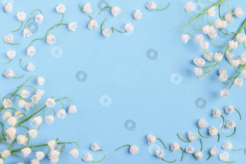 Скачать Белые цветы ландышей на голубом фоне. Холи фотосток Ozero