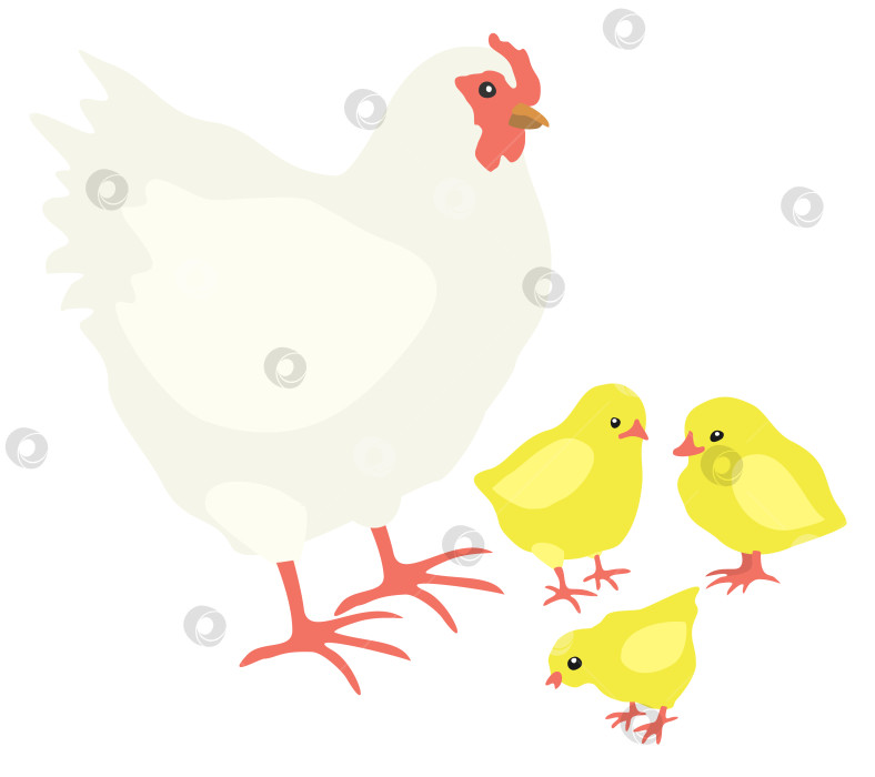 Скачать Векторная изолированная иллюстрация курицы и цыплят. фотосток Ozero