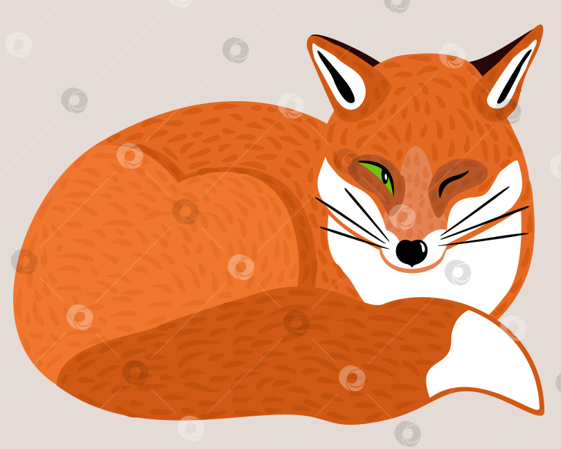 Скачать Векторная изолированная иллюстрация рыжей лисы. фотосток Ozero