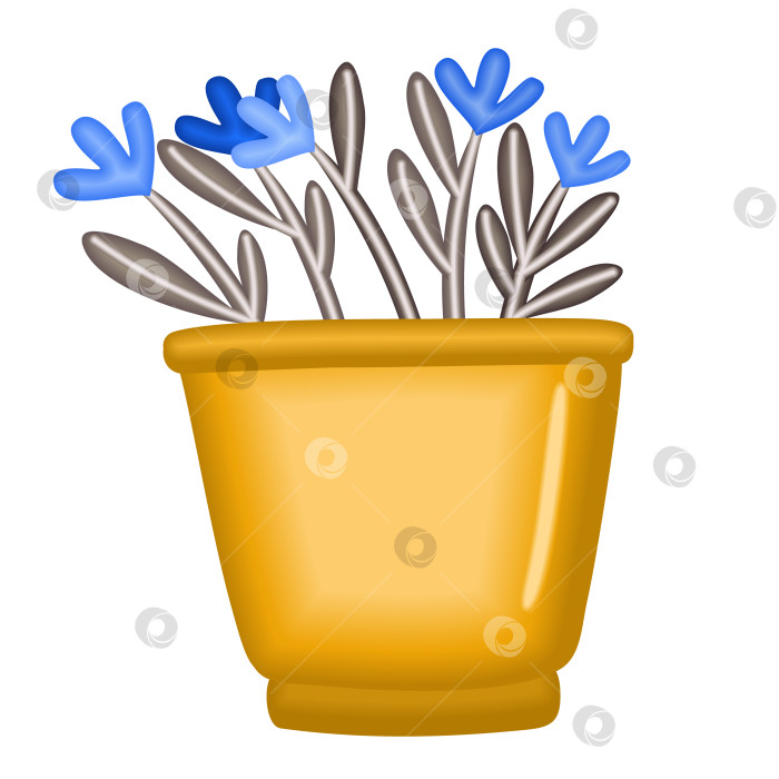 Скачать Голубые цветы в горшке. Векторная изолированная иллюстрация. фотосток Ozero