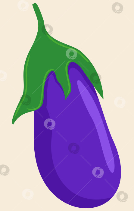Скачать Векторная иллюстрация баклажана. Яркий овощ. Фиолетовый и зеленый. фотосток Ozero