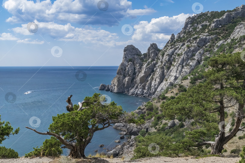 Скачать горы на побережье Черного моря фотосток Ozero