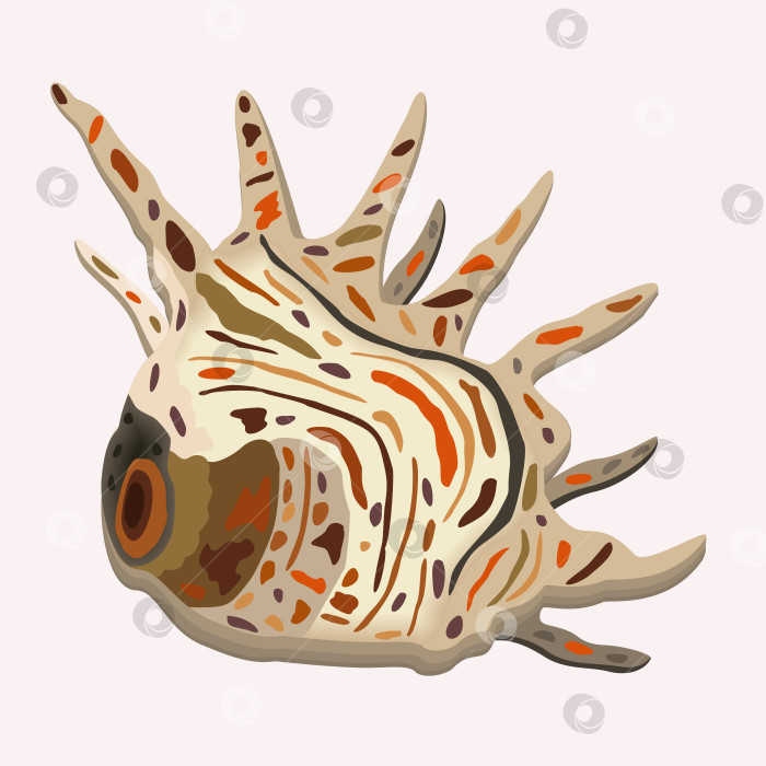 Скачать Векторная изолированная иллюстрация морской раковины обычной формы с декоративными пятнами. фотосток Ozero