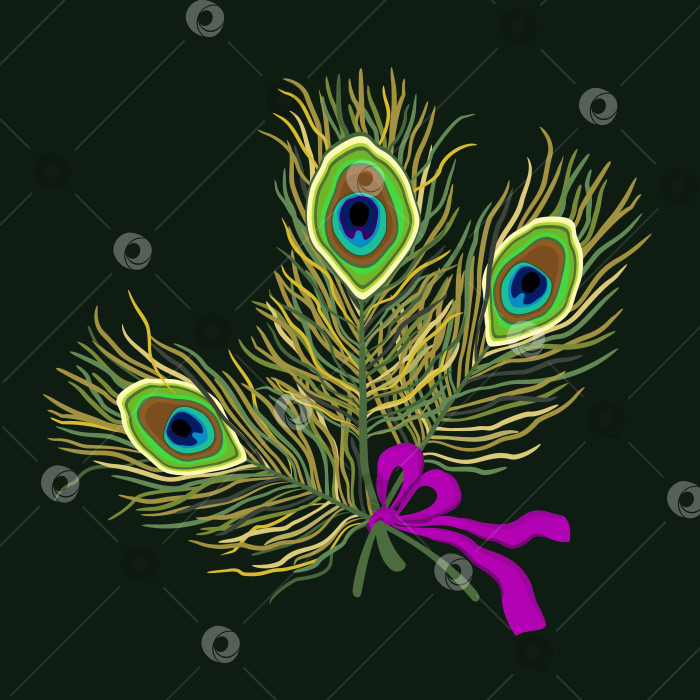 Скачать Векторная яркая иллюстрация павлиньих перьев на темном фоне. фотосток Ozero