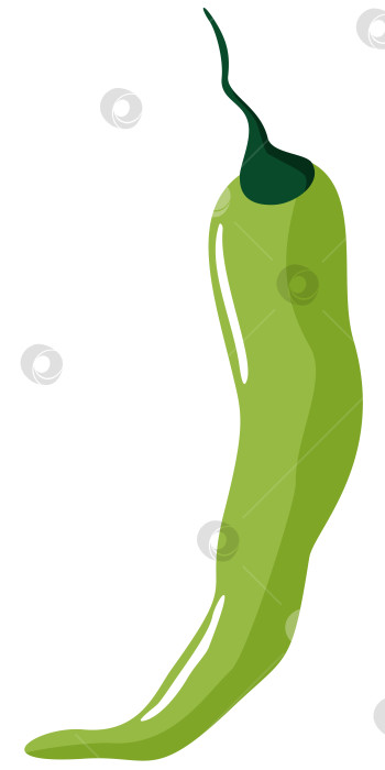 Скачать Векторная изолированная иллюстрация зеленого острого перца. фотосток Ozero