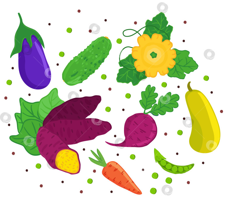 Скачать Векторный набор различных овощей, изолированных на белом фоне. фотосток Ozero