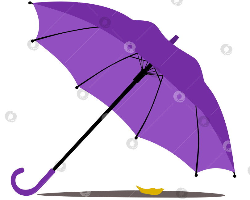 Скачать Фиолетовый зонт с тенью. Осенний желтый лист под ним. фотосток Ozero