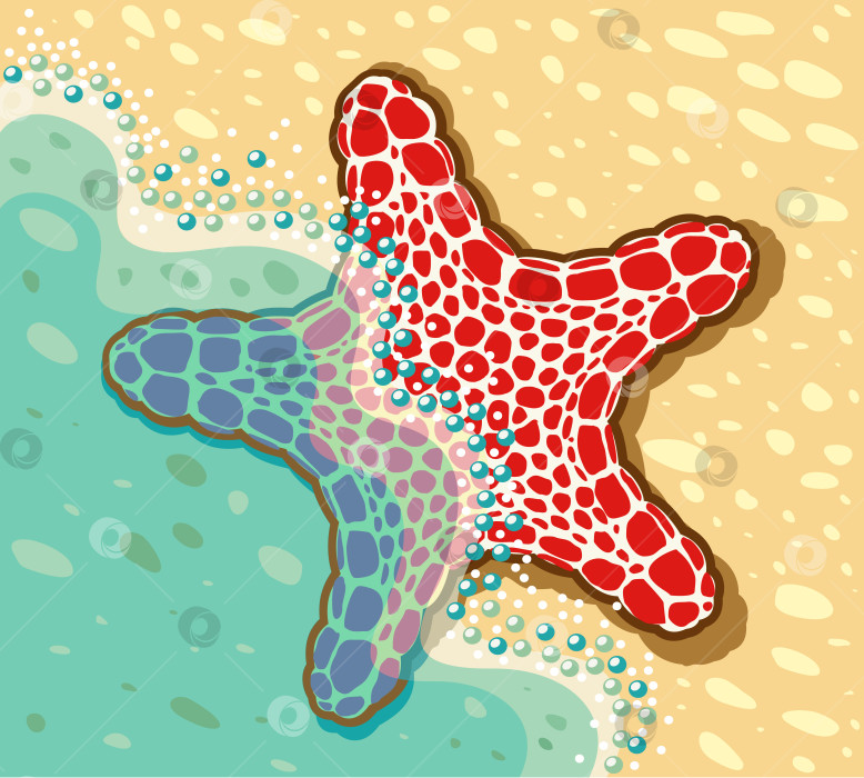 Скачать Векторная иллюстрация морской звезды, лежащей у моря на берегу моря фотосток Ozero