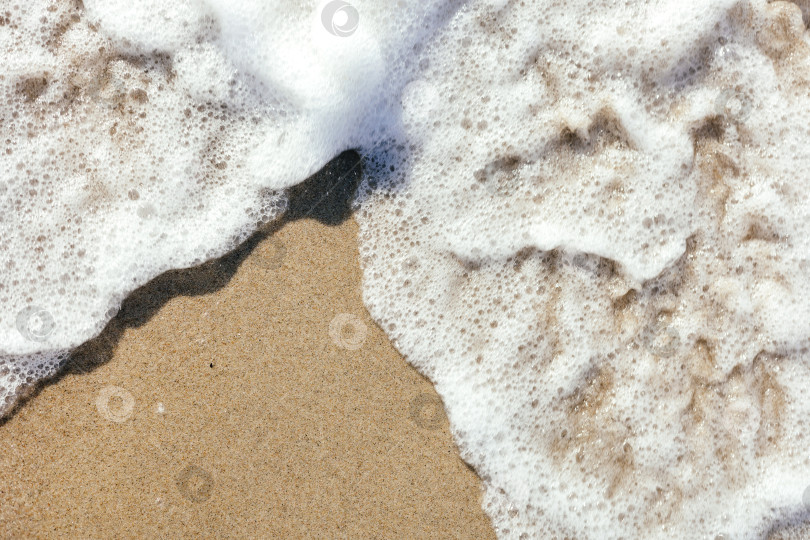 Скачать Песчаный сапсан с морской пеной и пространством для текста. фотосток Ozero