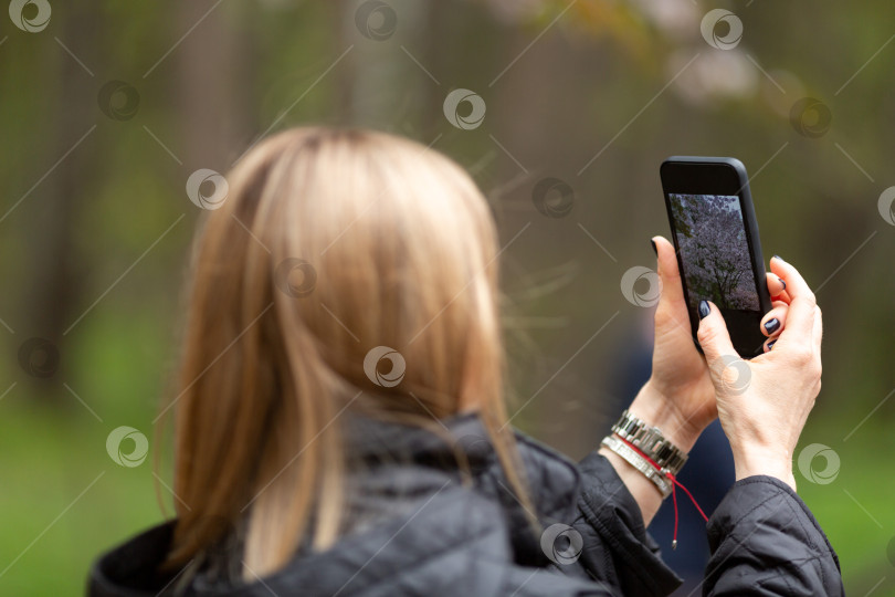 Скачать Женщина фотографирует цветущую вишню фотосток Ozero