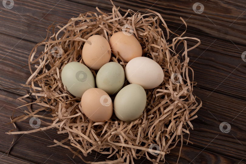 Скачать Натуральные пасхальные яйца фотосток Ozero