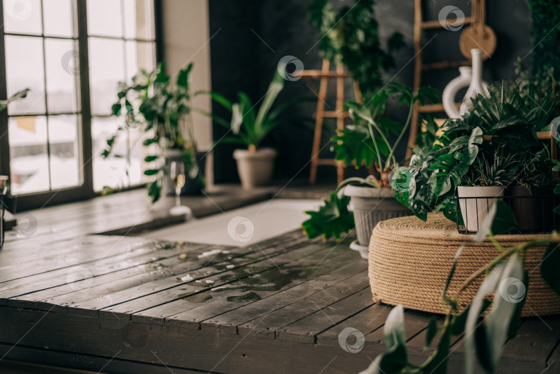 Скачать Современная ванная комната со стильным интерьером ванной комнаты, украшенным зелеными растениями, большим окном, подиумом из натурального дерева фотосток Ozero
