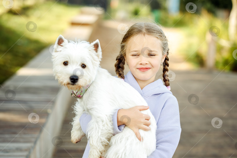 Скачать Девочка с косичками держит на руках маленькую белую собачку и счастливо улыбается. фотосток Ozero