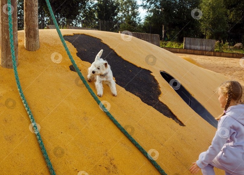 Скачать семилетняя девочка играет на детской площадке со своим белым щенком, солнечный летний день фотосток Ozero