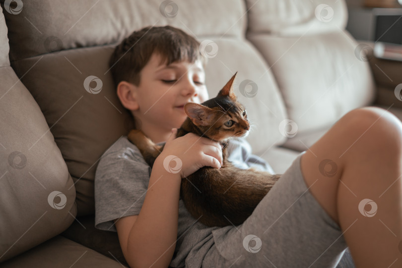 Скачать Маленький мальчик со своей любимой кошкой на диване. Концепция детей и любви к домашним животным фотосток Ozero