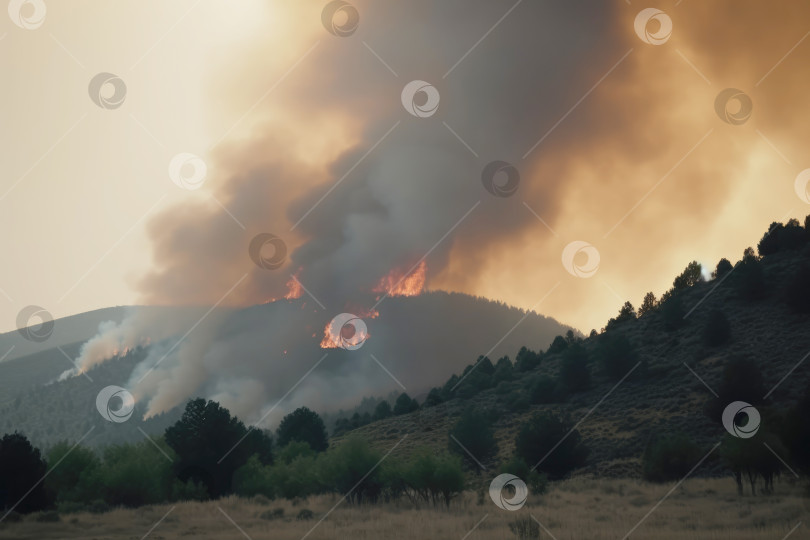 Скачать Лес, охваченный лесным пожаром, стал причиной сильной летней жары фотосток Ozero