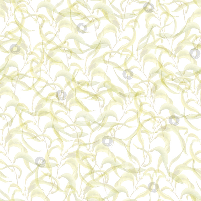 Скачать Акварельный бесшовный узор из морских водорослей, ламинария выделена на белом фоне. Для оформления поздравительных открыток, меню, фона, принтов, обоев, ткани, текстиля, упаковки. фотосток Ozero