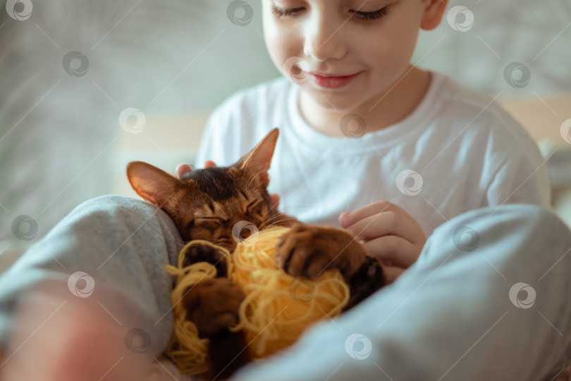 Скачать Маленький мальчик держит и обнимает рыжую кошку сомли, котенка породы сомли. Люди, дети, концепция детей с домашними животными. фотосток Ozero